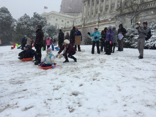 These snowy scofflaws don't care what Congress thinks. Photographs by Benjamin Freed.